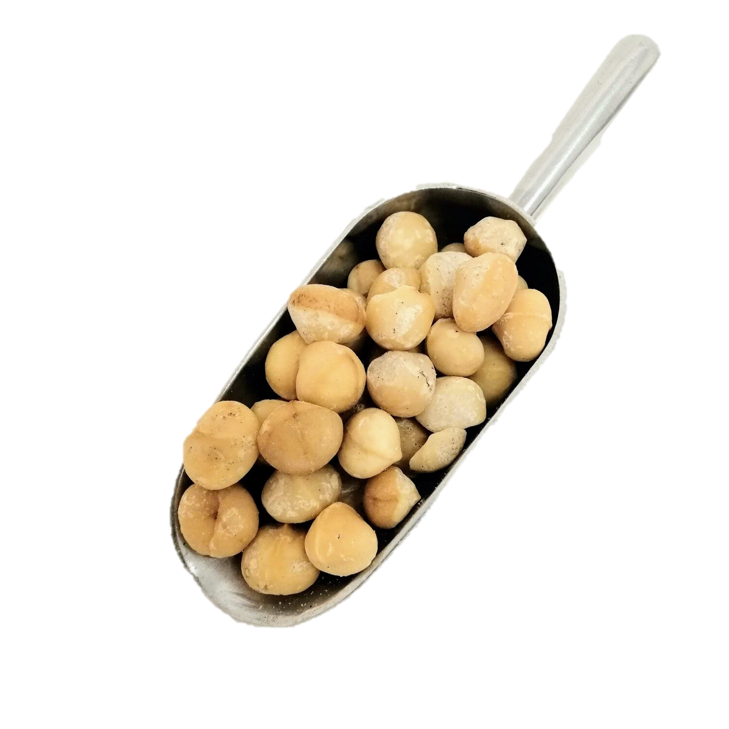 Nuez de macadamia