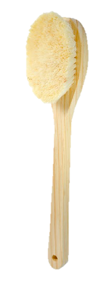 Cepillo paleta ovalada corporal