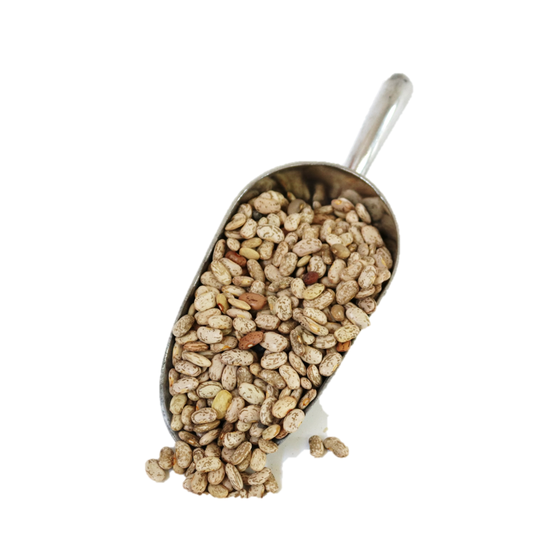 Frijol pinto orgánico