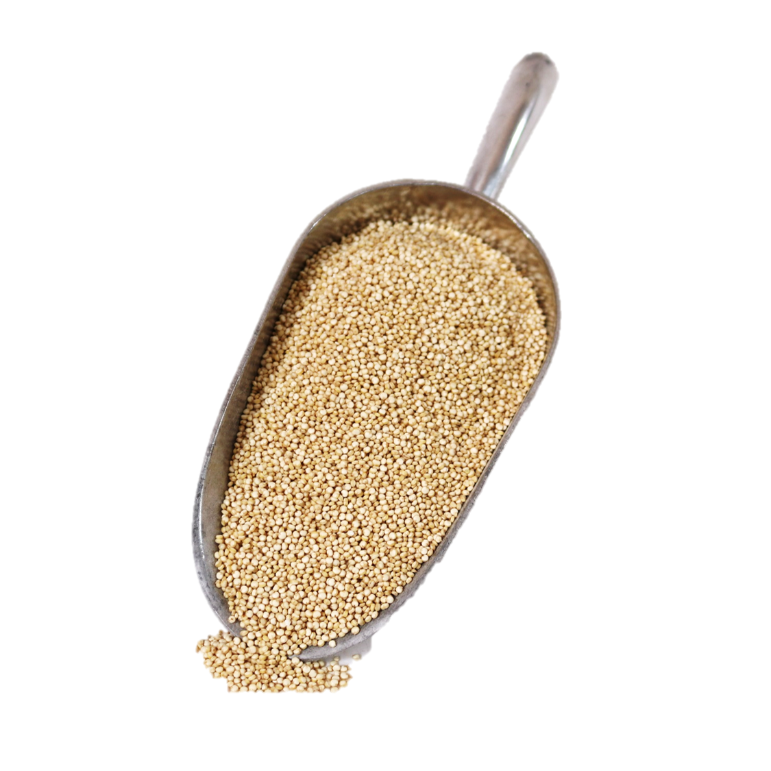 Quinoa blanca orgánica