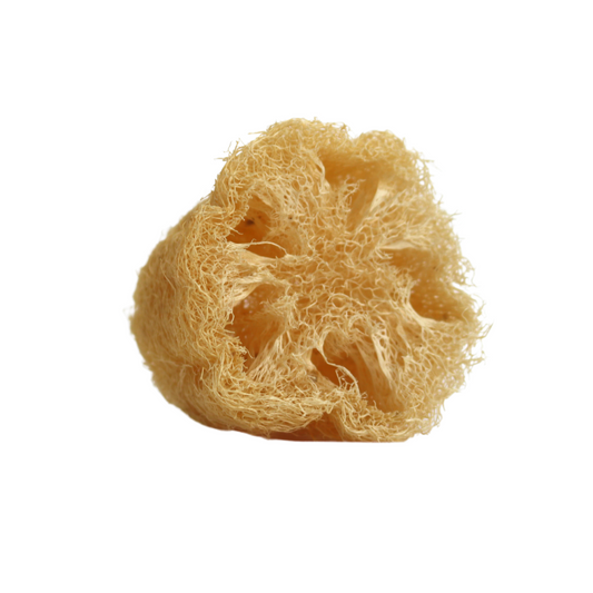 Luffa