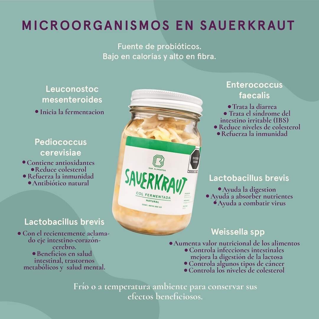 Chucrut (Sauerkraut) RGB Alimentos - Original