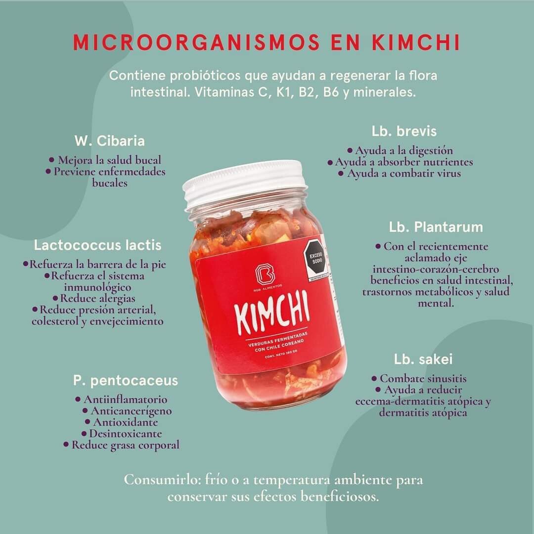 Kimchi RGB Alimentos - Vegano