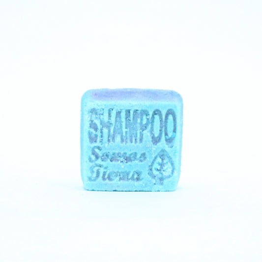 Shampoo sólido Vitalidad Somos Tierra