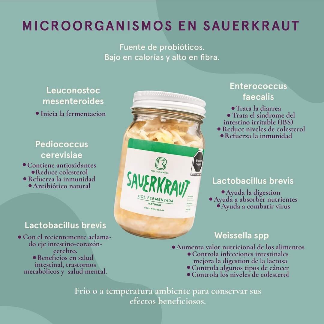 Chucrut (Sauerkraut) RGB Alimentos - Chipotle